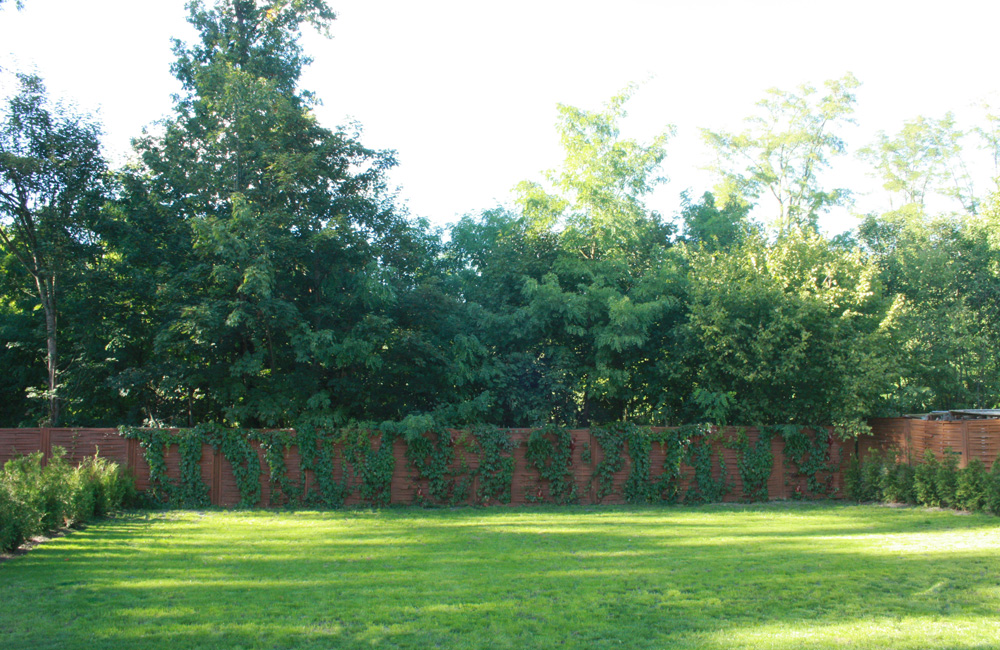 Seminarraum, Tagungsraum Bad Saarow