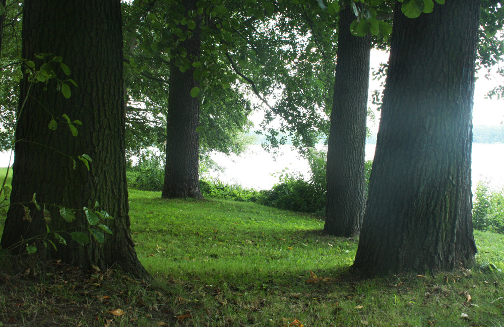 Seminarraum, Tagungsraum Bad Saarow