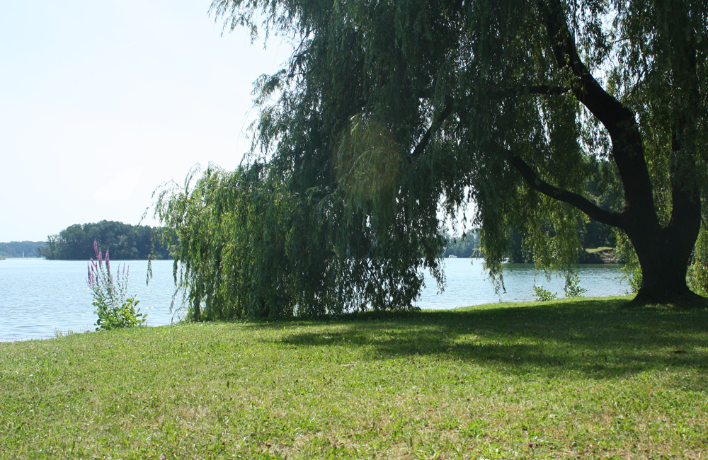 Seminarraum, Tagungsraum Bad Saarow