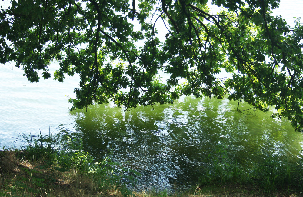 Seminarraum, Tagungsraum Bad Saarow